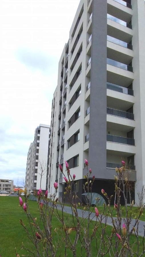 Brigitte Apartment Brasov Exterior photo