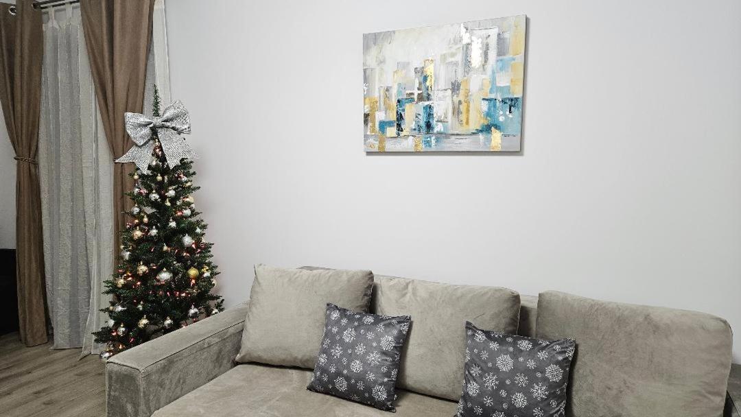 Brigitte Apartment Brasov Exterior photo